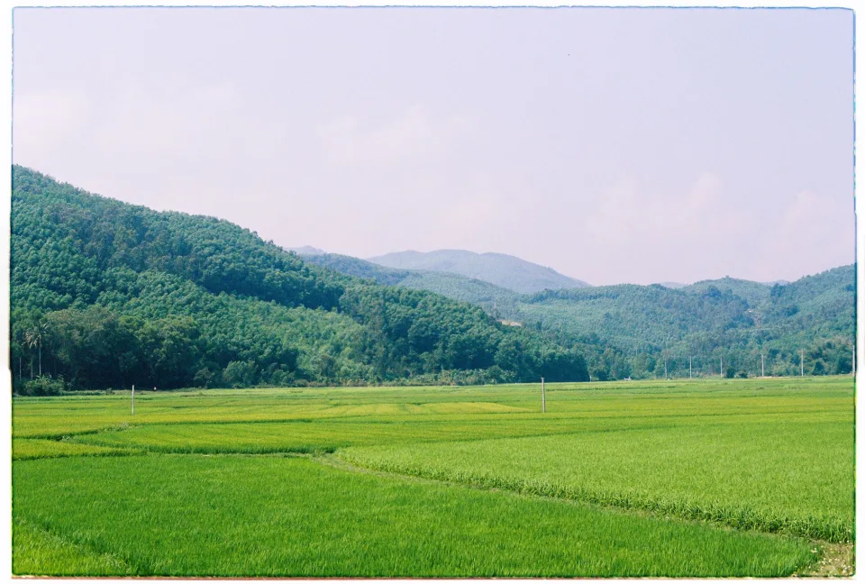 Kho gạo của Nguyễn Thị Tuyết 1